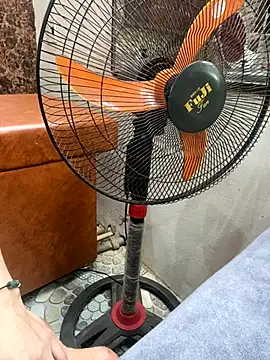 Phale2x online show from December 3, 3:07 am