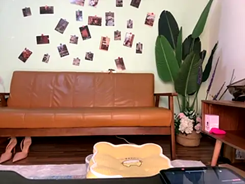 Snapshot of zxcvbnmqwas213 chatting on November 27, 3:12 pm zxcvbnmqwas213 online show from November 27, 3:12 pm