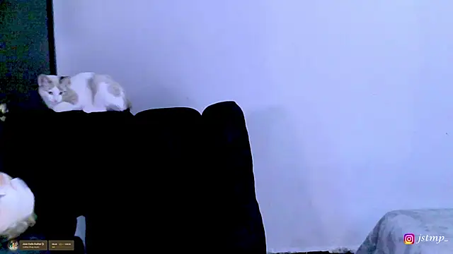 Snapshot of jhon_mendoza_ chatting on November 24, 3:06 am jhon mendoza online show from November 24, 3:06 am