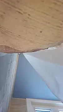 Sexecochon online show from December 22, 1:55 pm