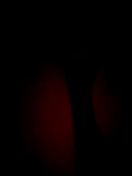 Snapshot of SlattedEndive chatting on March 8, 6:49 am SlattedEndive online show from March 8, 6:49 am