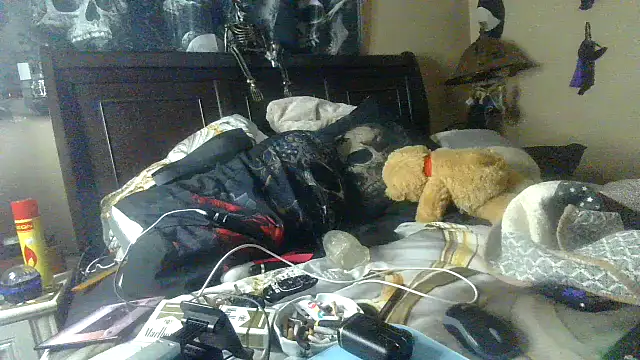 Snapshot of bigdaddyrooster chatting on January 14, 6:28 am bigdaddyrooster online show from January 14, 6:28 am