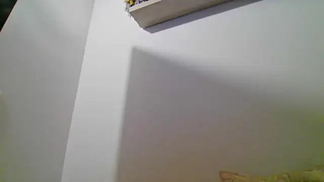 Snapshot of valeriahornier chatting on July 16, 11:46 pm valeriahornier online show from July 16, 11:46 pm