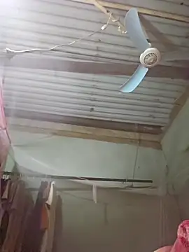 Snapshot of Squirrel-Pear chatting on November 19, 2:39 pm Squirrel-Pear online show from November 19, 2:39 pm