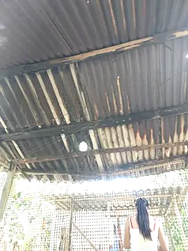 Snapshot of Squirrel-Pear chatting on November 20, 3:51 am Squirrel-Pear online show from November 20, 3:51 am