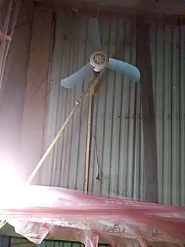 Snapshot of Squirrel-Pear chatting on December 4, 12:26 pm Squirrel-Pear online show from December 4, 12:26 pm