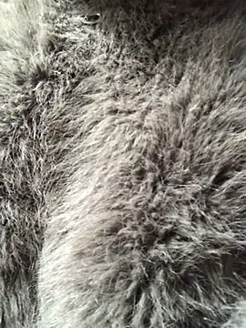 Kylie beem online show from February 10, 3:27 am