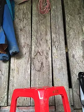 Kylie beem online show from March 15, 6:20 am