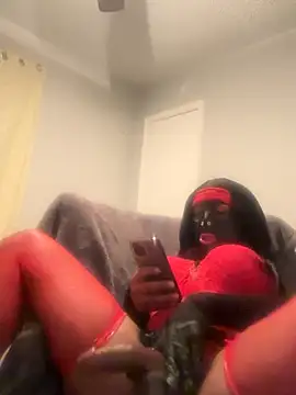 Owlpow online show from November 27, 8:04 am