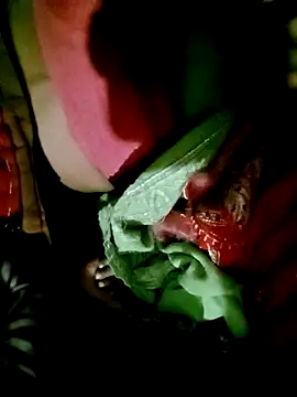 Hot cauple indian online show from December 1, 3:57 pm