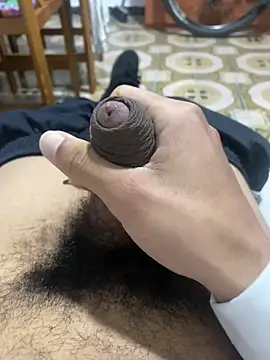 Anaconda Negra20 online show from November 15, 8:24 pm