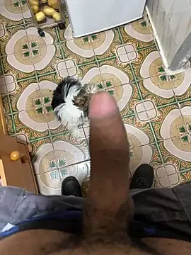 Anaconda Negra20 online show from April 9, 6:04 am