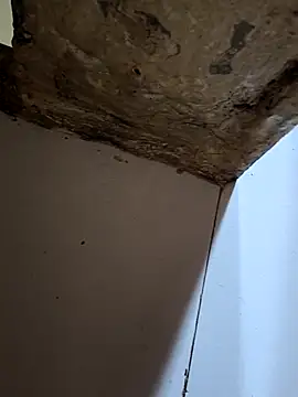 67yoki online show from November 15, 5:55 am