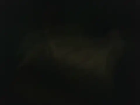 wolfffff32 online show from October 18, 7:38 pm
