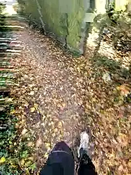 bbyxklaus online show from November 2, 12:21 pm