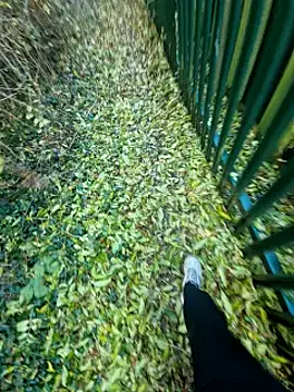 bbyxklaus online show from October 31, 3:19 pm