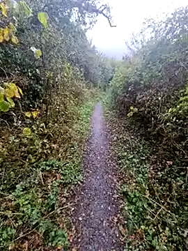 bbyxklaus online show from October 20, 11:44 am