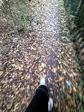 bbyxklaus online show from November 6, 12:31 pm