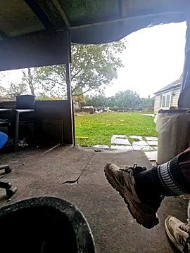 bbyxklaus online show from October 29, 12:48 pm