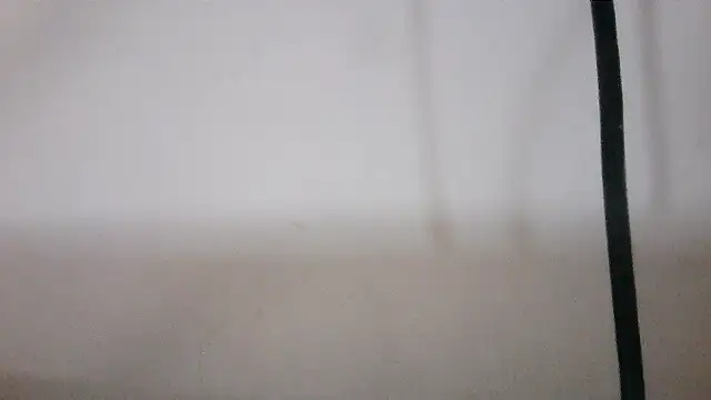 NATTYDOLL74 online show from February 4, 9:43 pm