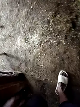 Snapshot of Saddam2332 chatting on October 31, 3:36 am Saddam2332 online show from October 31, 3:36 am