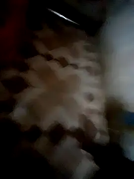 Snapshot of bindasbruno chatting on November 1, 8:19 am bindasbruno online show from November 1, 8:19 am