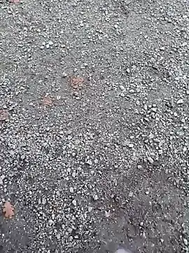 Imyourguy2025 online show from November 1, 2:11 pm