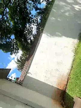 wellingtonmds online show from October 19, 4:32 pm