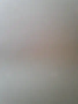 Snapshot of Petrysorboss chatting on October 20, 11:11 am Petrysorboss online show from October 20, 11:11 am