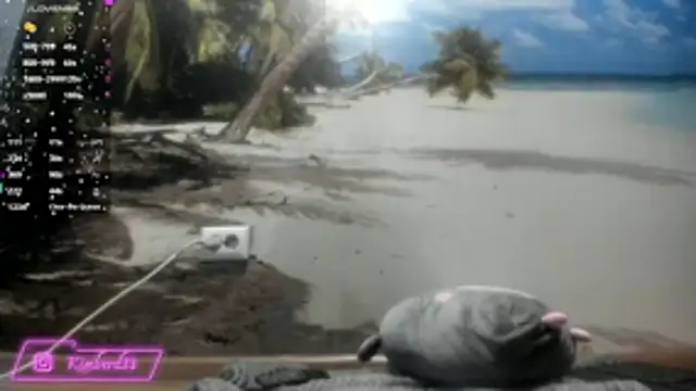 Snapshot of kimberd33 chatting on February 26, 3:12 pm kimberd33 online show from February 26, 3:12 pm