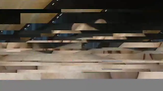 GADDAR TR06 online show from February 15, 3:00 pm