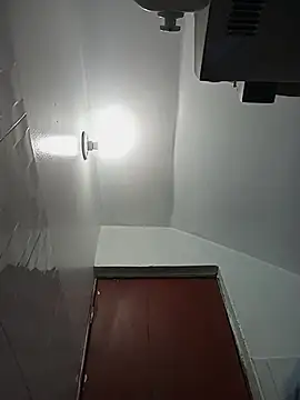 celeste 83 online show from October 27, 4:19 pm