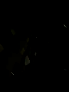 Paapii1098 online show from December 21, 10:32 pm