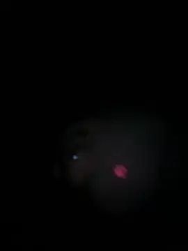 Paapii1098 online show from March 15, 8:05 pm