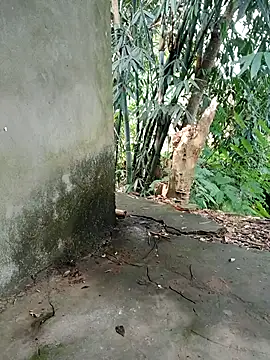 Snapshot of Bear_bear0 chatting on November 8, 1:53 am Bear bear0 online show from November 8, 1:53 am