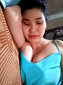 Bear bear0 online show from April 15, 6:19 am