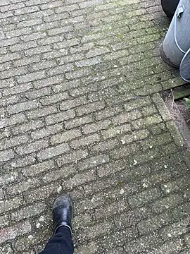 bart98geil online show from March 10, 11:36 am