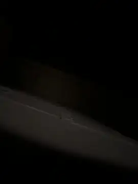 bart98geil online show from April 6, 3:13 am