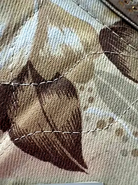 cheems232 online show from November 28, 8:14 am