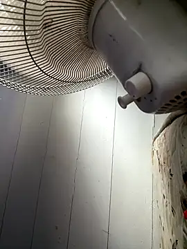 cheems232 online show from November 22, 8:51 pm