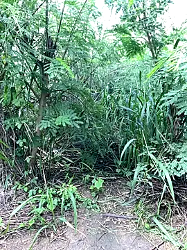 couplesexroom online show from November 19, 8:03 am