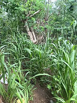 couplesexroom online show from October 21, 10:58 am