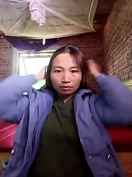 sowbibi online show from November 3, 5:01 am