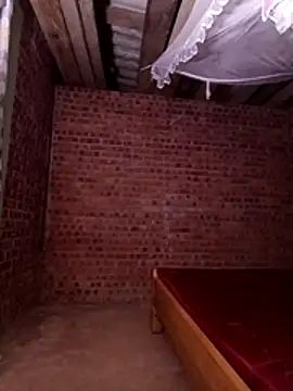 sowbibi online show from November 14, 11:30 pm