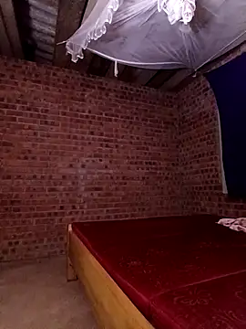 sowbibi online show from November 14, 11:25 am