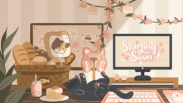 Snapshot of geekycastillo chatting on November 23, 3:38 am geekycastillo online show from November 23, 3:38 am