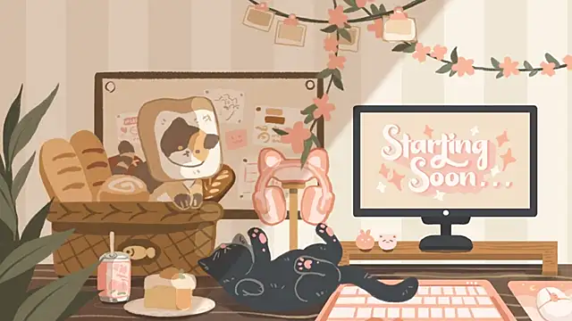 Snapshot of geekycastillo chatting on November 5, 3:42 am geekycastillo online show from November 5, 3:42 am