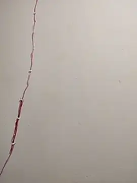 cutepussy356 online show from December 5, 11:09 am