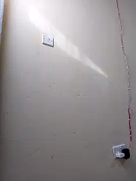cutepussy356 online show from May 3, 5:34 am