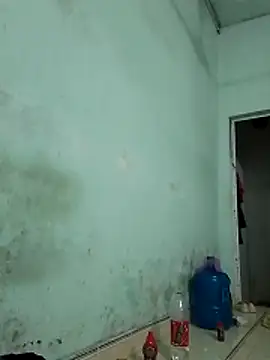  LAN  online show from October 31, 10:49 pm